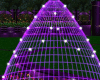 Neon Purple Swing