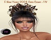 IV/F 2024 New Year Crown