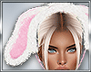 B* Moni Bunny Ears