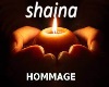 hommage a shaina