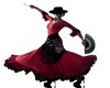 dome flamenco dance
