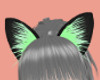 Mint Green Coal Ears/SP