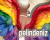 [P] Pride wings