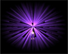 RH Purple disco light pe