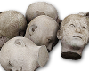 Heads