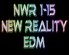 New Reality rmx
