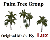Palm Tree Group