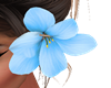 Orquidea Azul