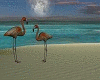 Flamingo Oasis Day