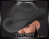 Cowboy Hat v4