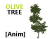 Olive Tree [Anim]