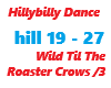 Hillybilly Dance / Wild