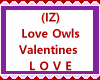 Love Owls L O V E