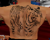 LS tigre da malasia