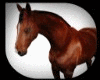 Bay Animated Horse w pos