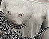 fem