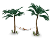 Palm trees Hammock