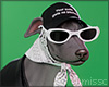 $ Fashion Iggy GR DECOR