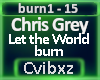 Chris Grey - World burn