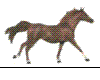 [SH11]Trotting Bay Horse