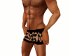 Sexy leopard boxer