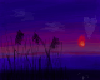 night sunset (by razz)