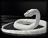Shiroi Snake- M-