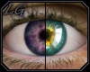 [LG] 2T Eyes Angel