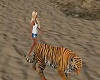 couples tiger walk