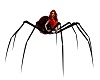 girle spider