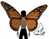 MonShark Butterfly Wings