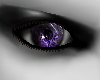 Z Sail Purple Eyes M/F