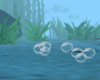Bubbles Anim