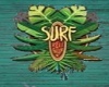SURF Poster