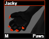 Jacky Paws M