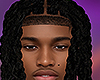 Twist Braids Locs