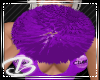 Cheer Purple pompoms