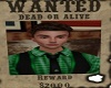 Wanted Joe