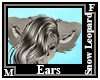 Snow Leopard Ears