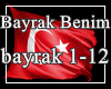 TurkishFlag (bayrak 1-12