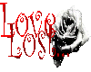 Love Lost Rose