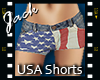 USA Summer Shorts