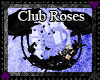 Club Rose Swing