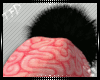 [TFD]Pom Brain