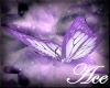 @ Butterfly Pet Purple