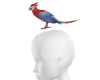 C| Parrot On Head F-PET