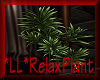 *LL*Relax Plant