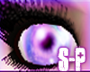 Purple dolly eyes