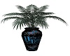 blue hardley plant