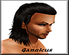 Gannicus~NaturalBlack